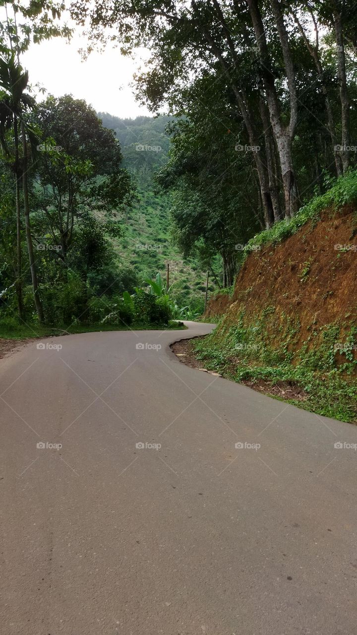 out of town... beautiful road