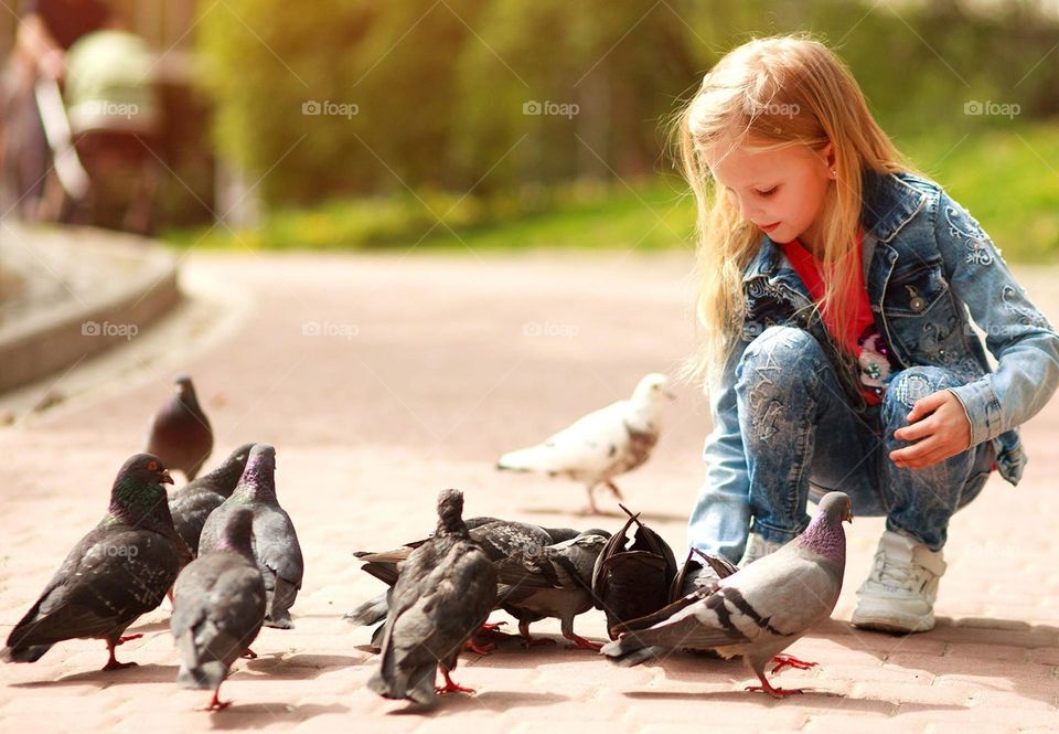 Urban Nature: wildlive