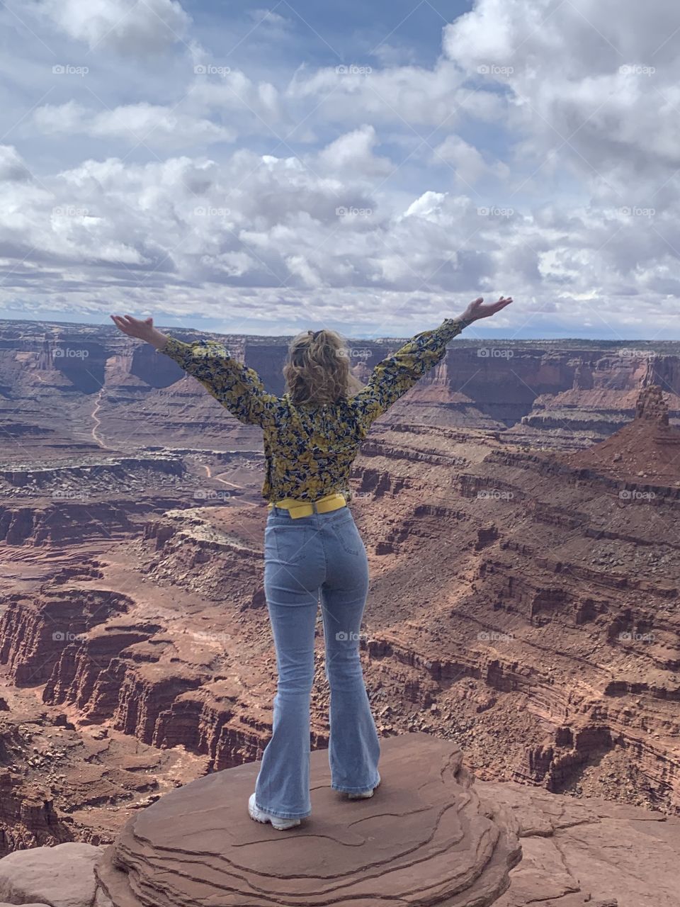 Elevated Canyon View