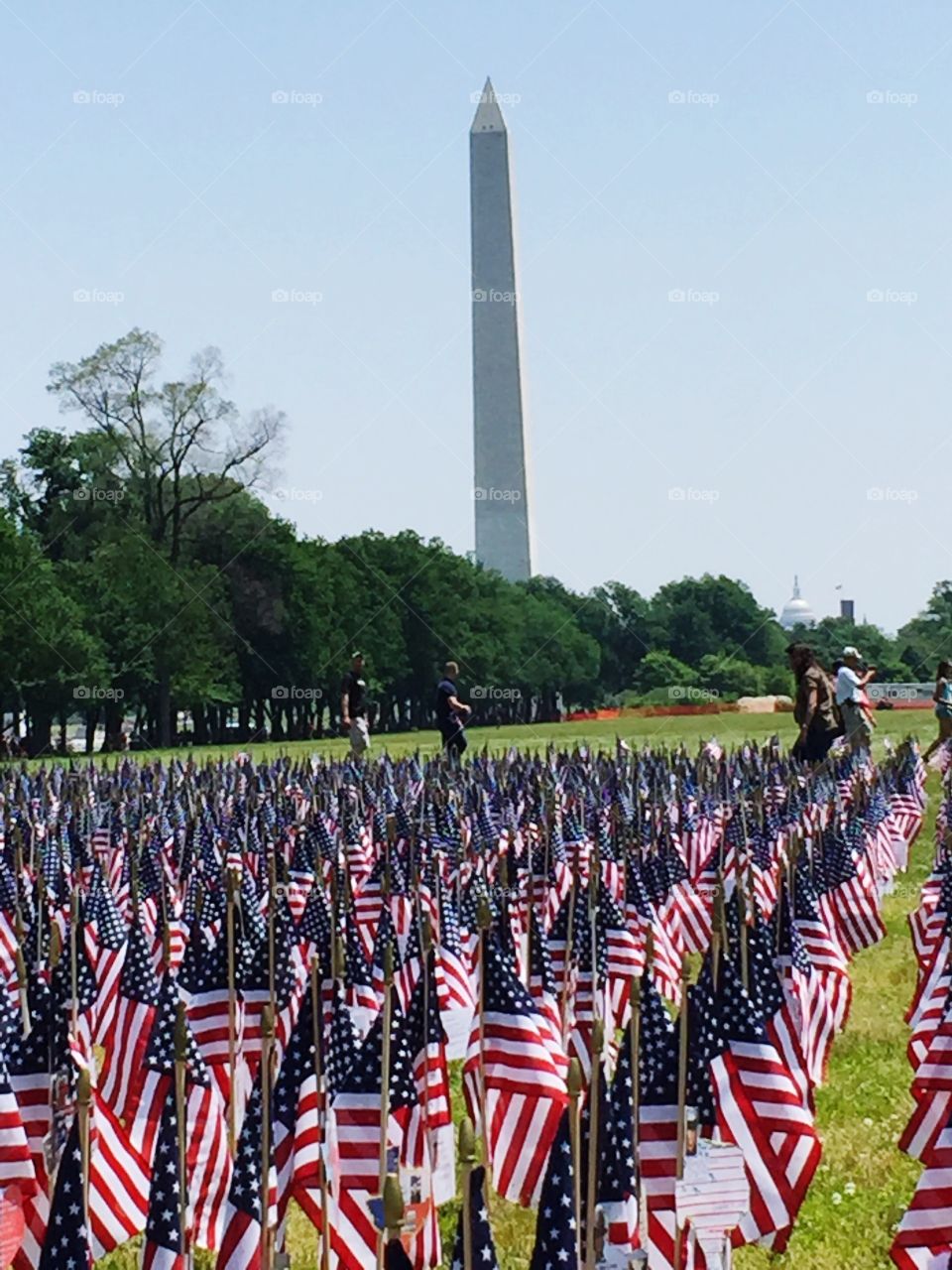 Memorial Day flags