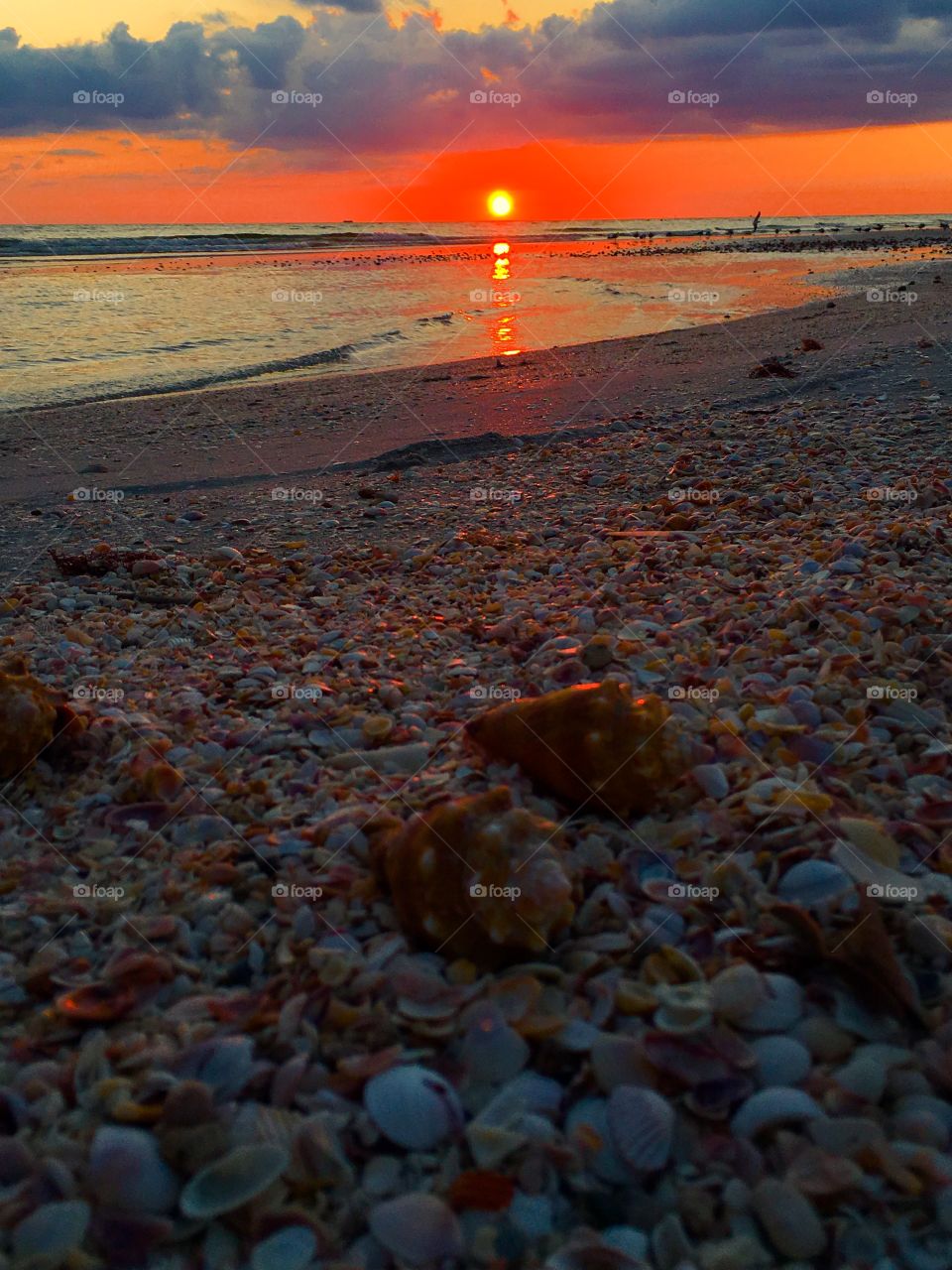 Incredible sunsets in FL