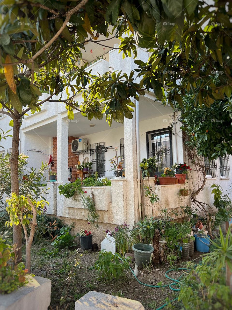 sunny cozy atmospheric Turkish courtyard with a lot of potted plants