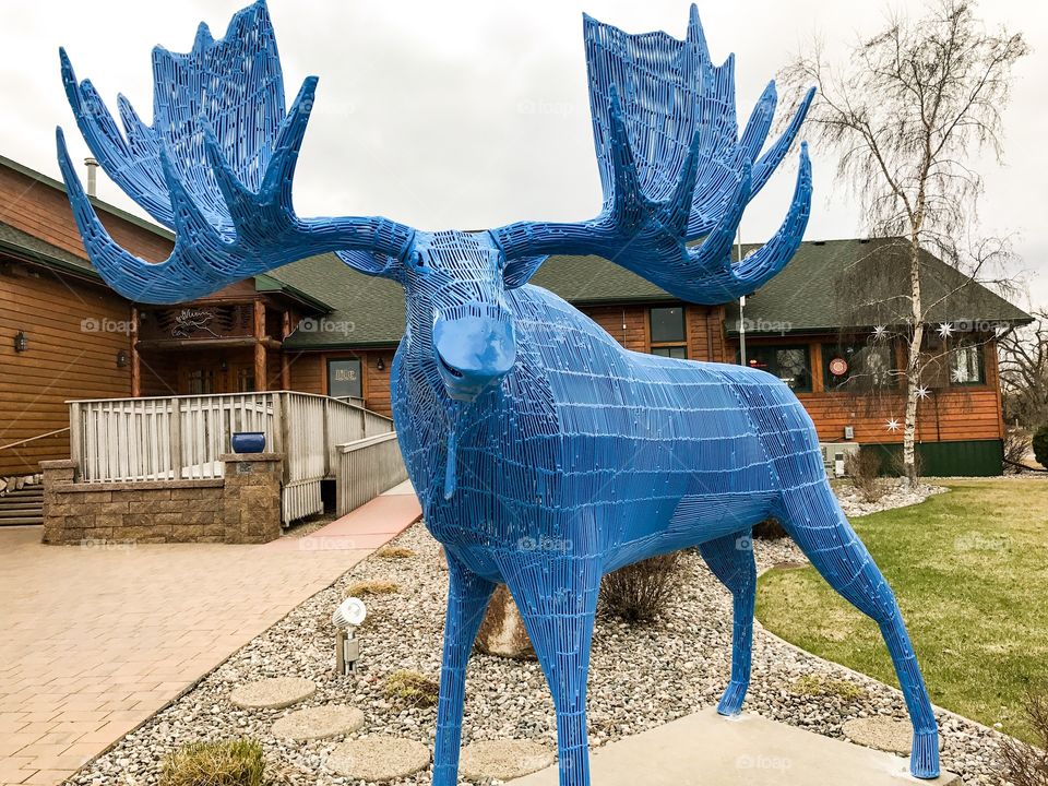 Blue Moose metal sculpture 