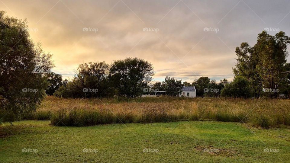 early morning on a small farm.