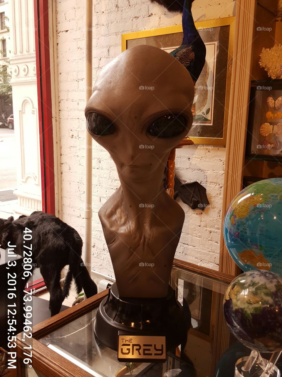 Alien