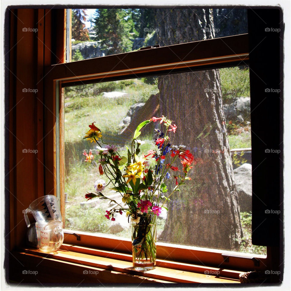 Mountain wildflowers window