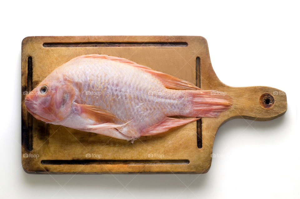 Crappie Fists oil on wood