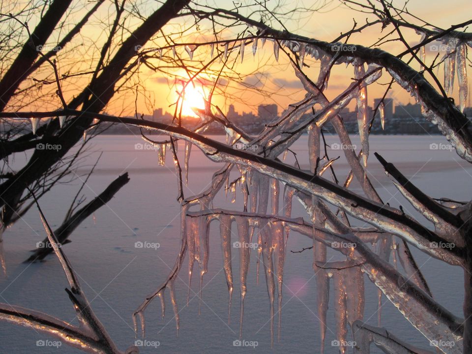 ice show frost, sunset