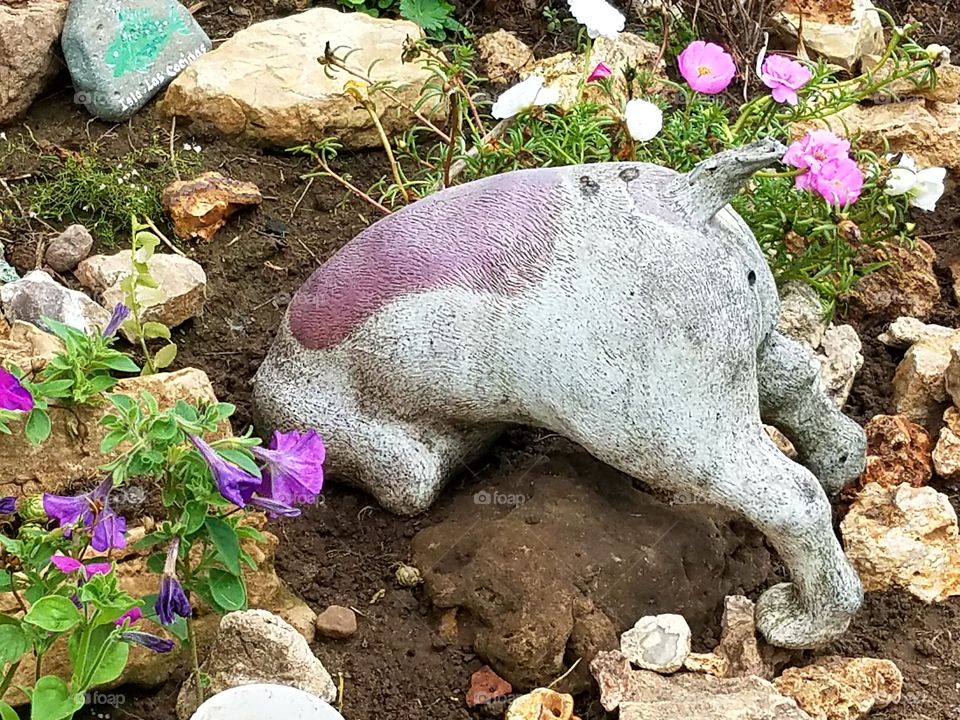 My rock garden. This dog yard ointment was in my dad's yard for many years.  After a battle with cancer he is now in a better place. i now have have many memories of him.