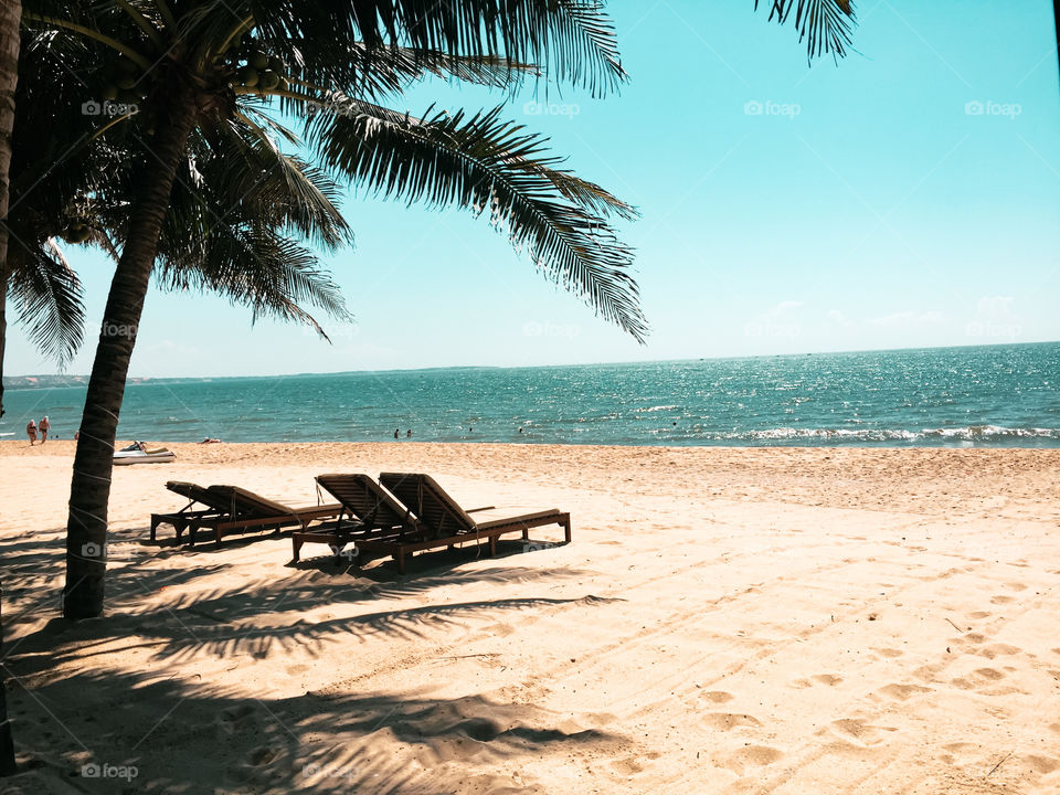 Beach landscape , summer sea, beach chairs , coconut tree , summer season, on the beach 