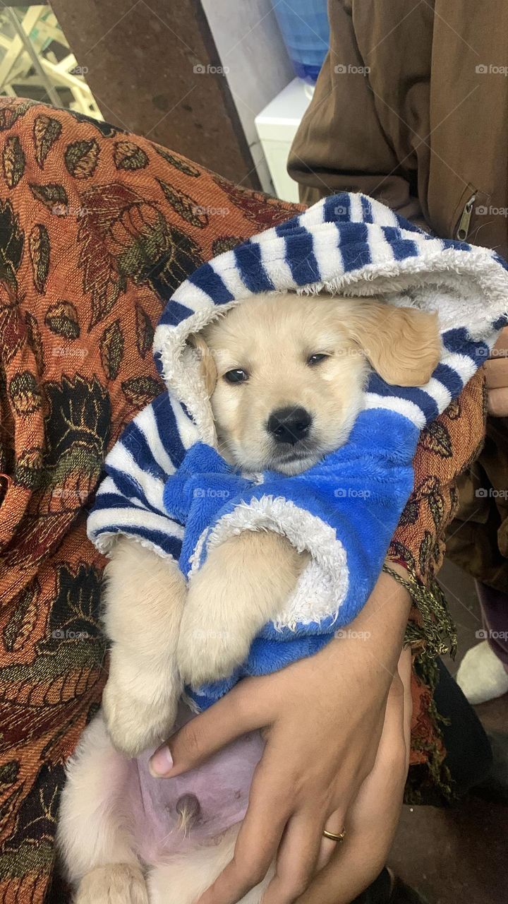 I am so cute hug and kiss me