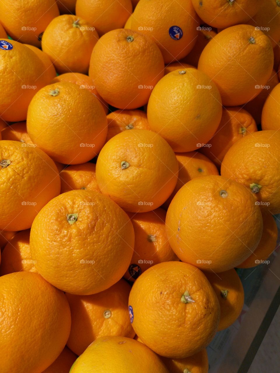 Close-up of many Mandarin oranges.