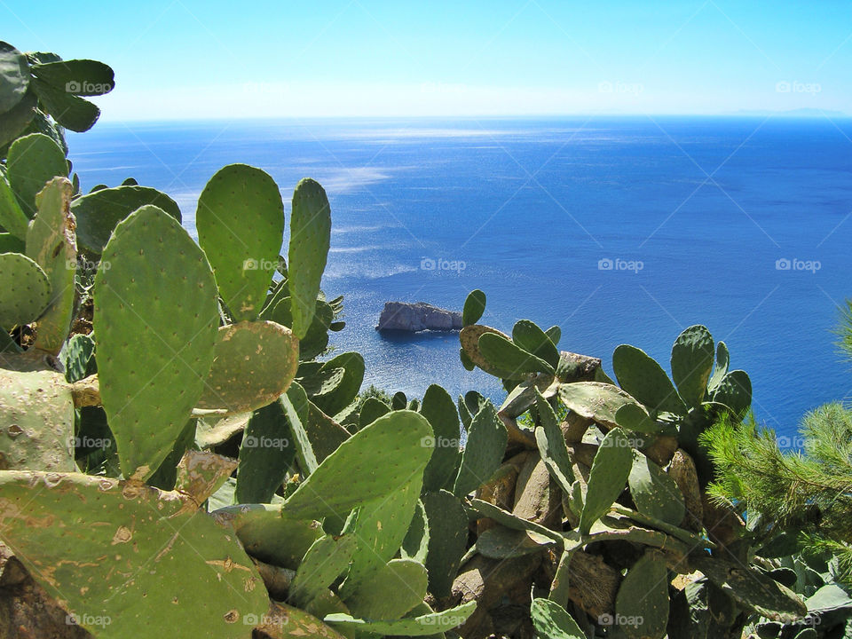 Amorgos