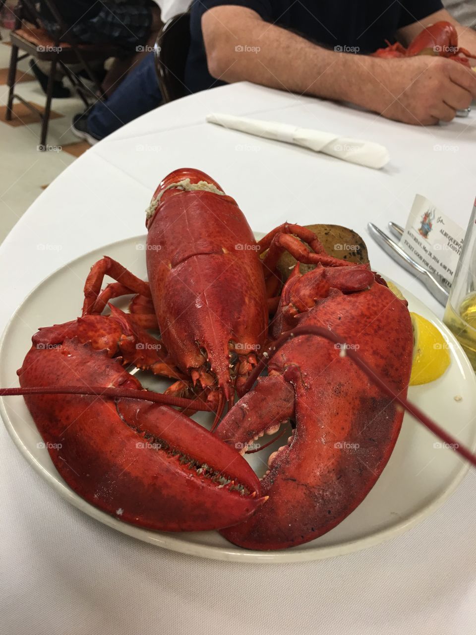 Lobster
