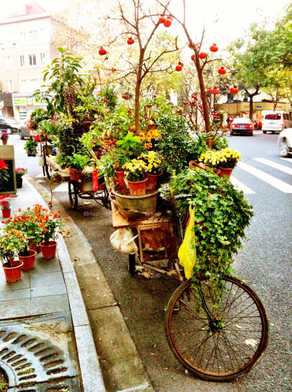 flowers china bike fruit by jadeh