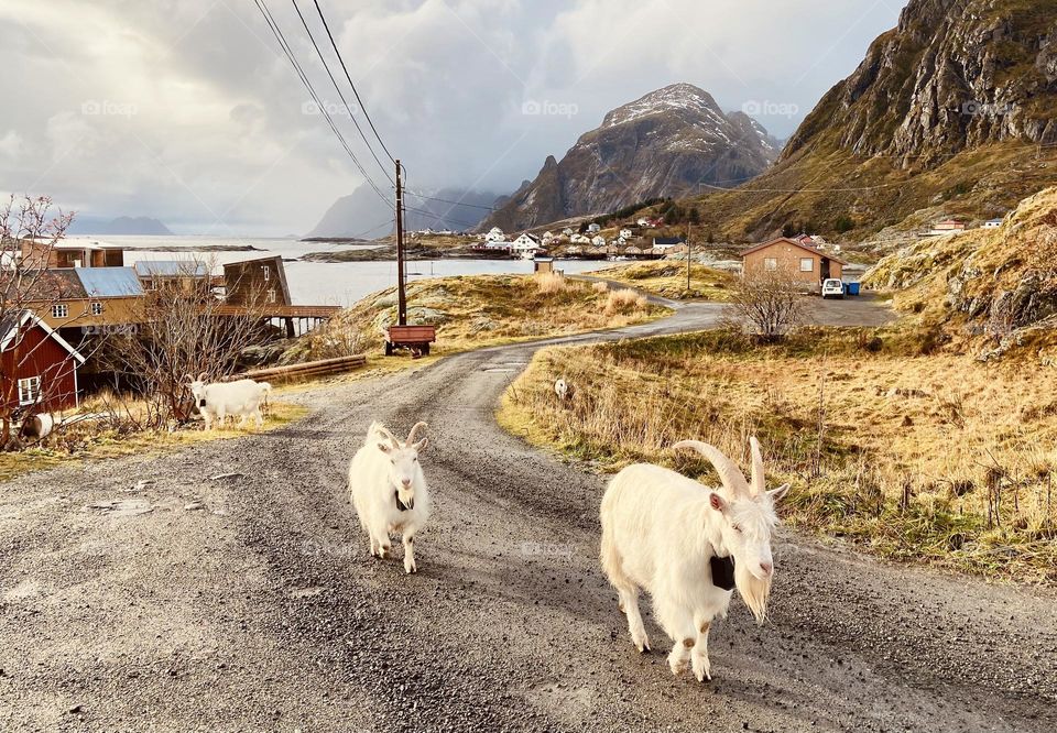 Traffic jam