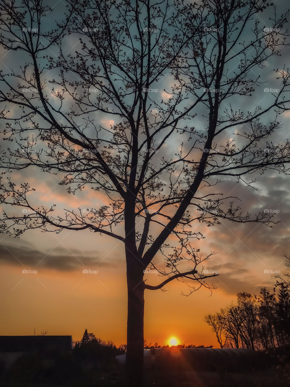 Sunset view golden hour