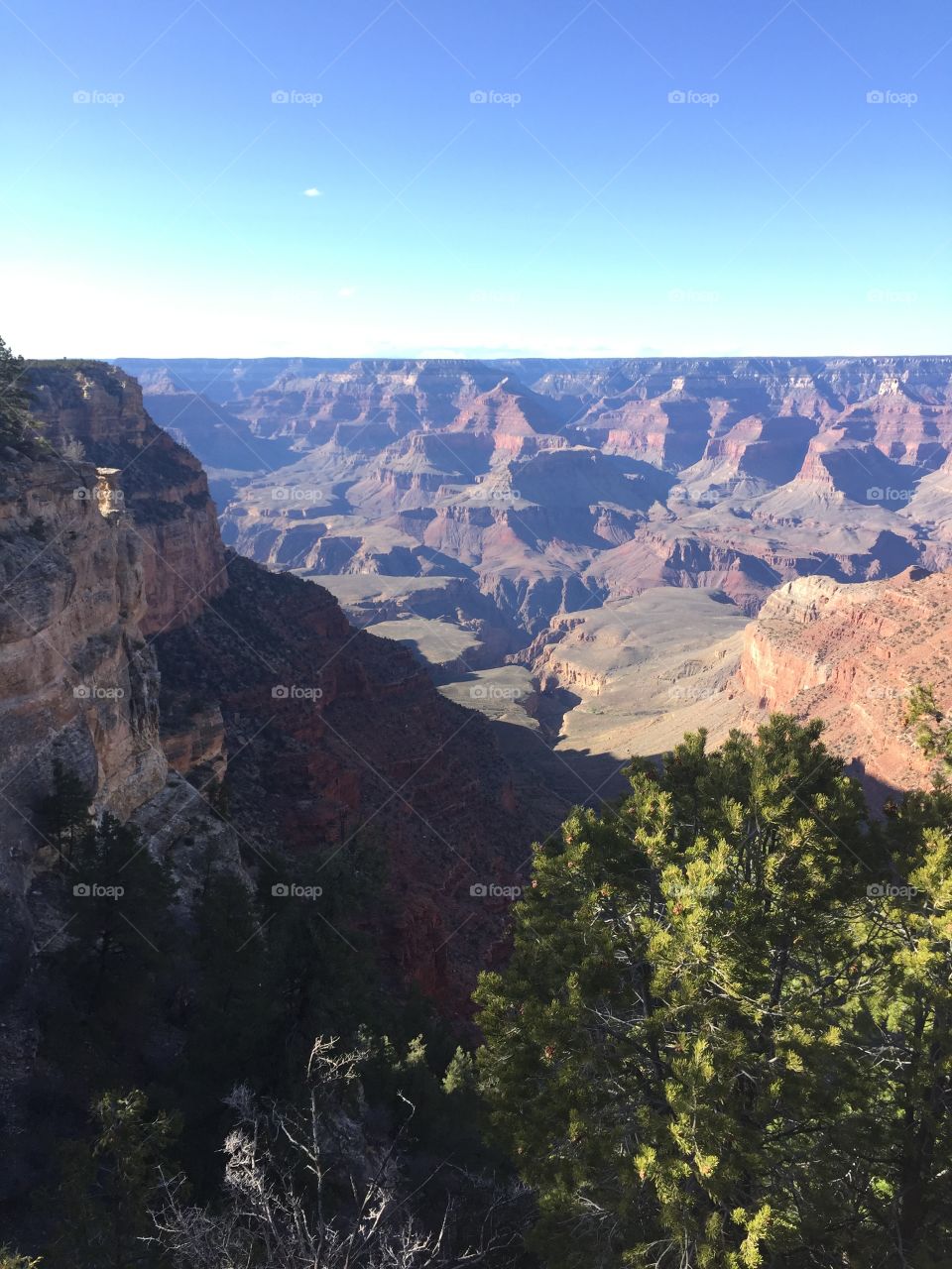 Sunny day at the Grand Canyon. 