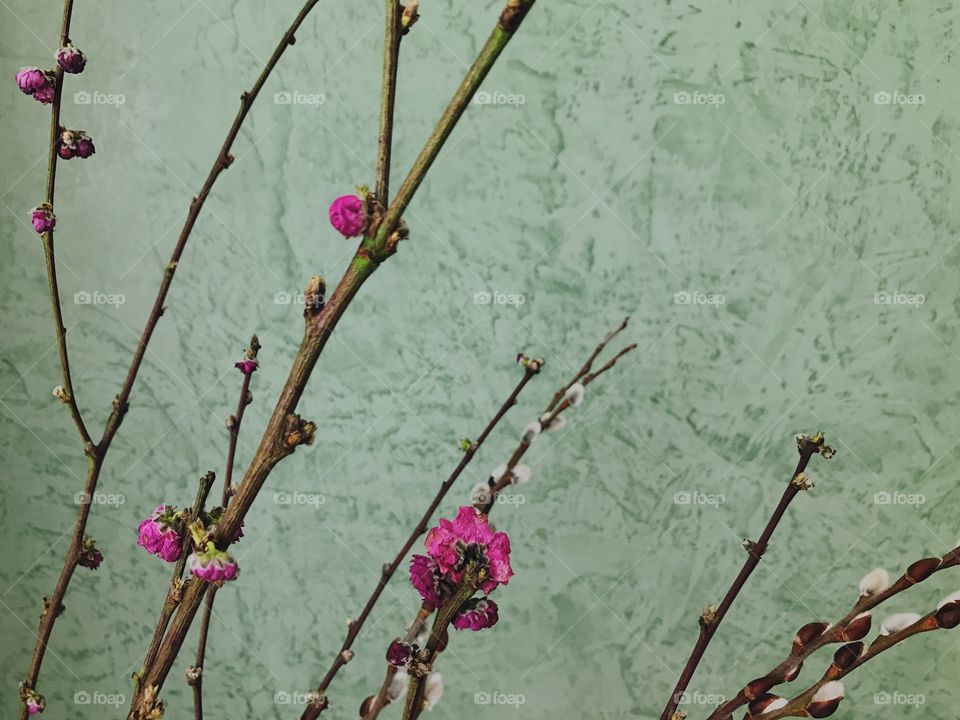 My new bouquet in front of my fave wall 