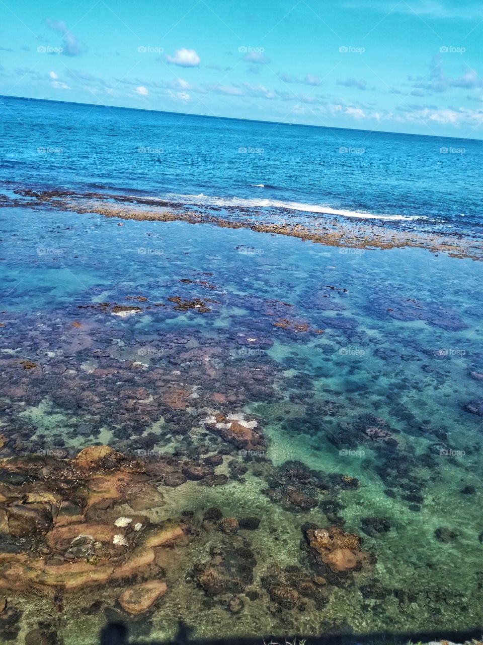 Beachology. Be shore of yourself. Don’t be crabby. Let your worries drift away. Drown out pier pressure. Soak up positive energy. Seas life’s moments.