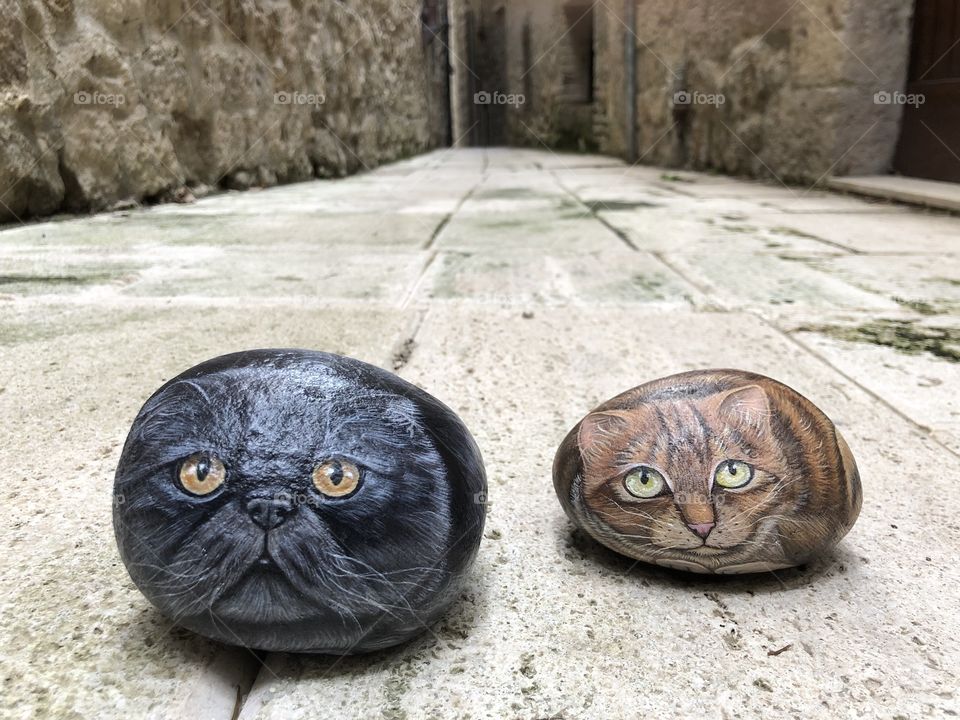 Stone cats with alley view in the medieval village of Castel Trosino, Ascoli Piceno County, Marche region, Italy