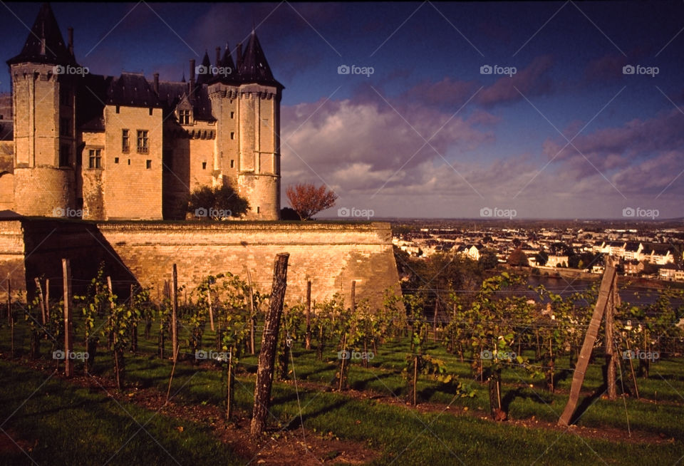 Chateau . France 