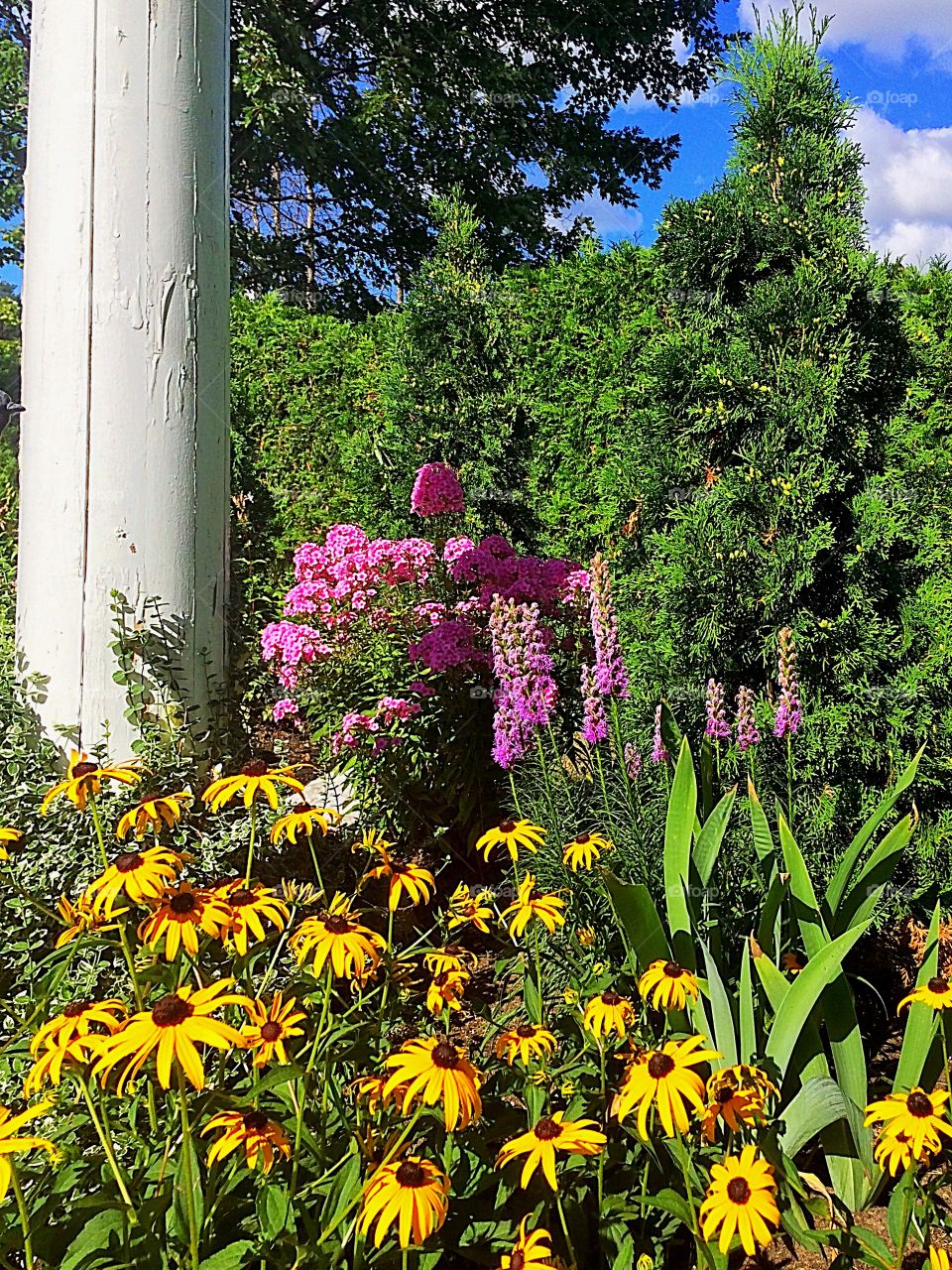 Flower garden