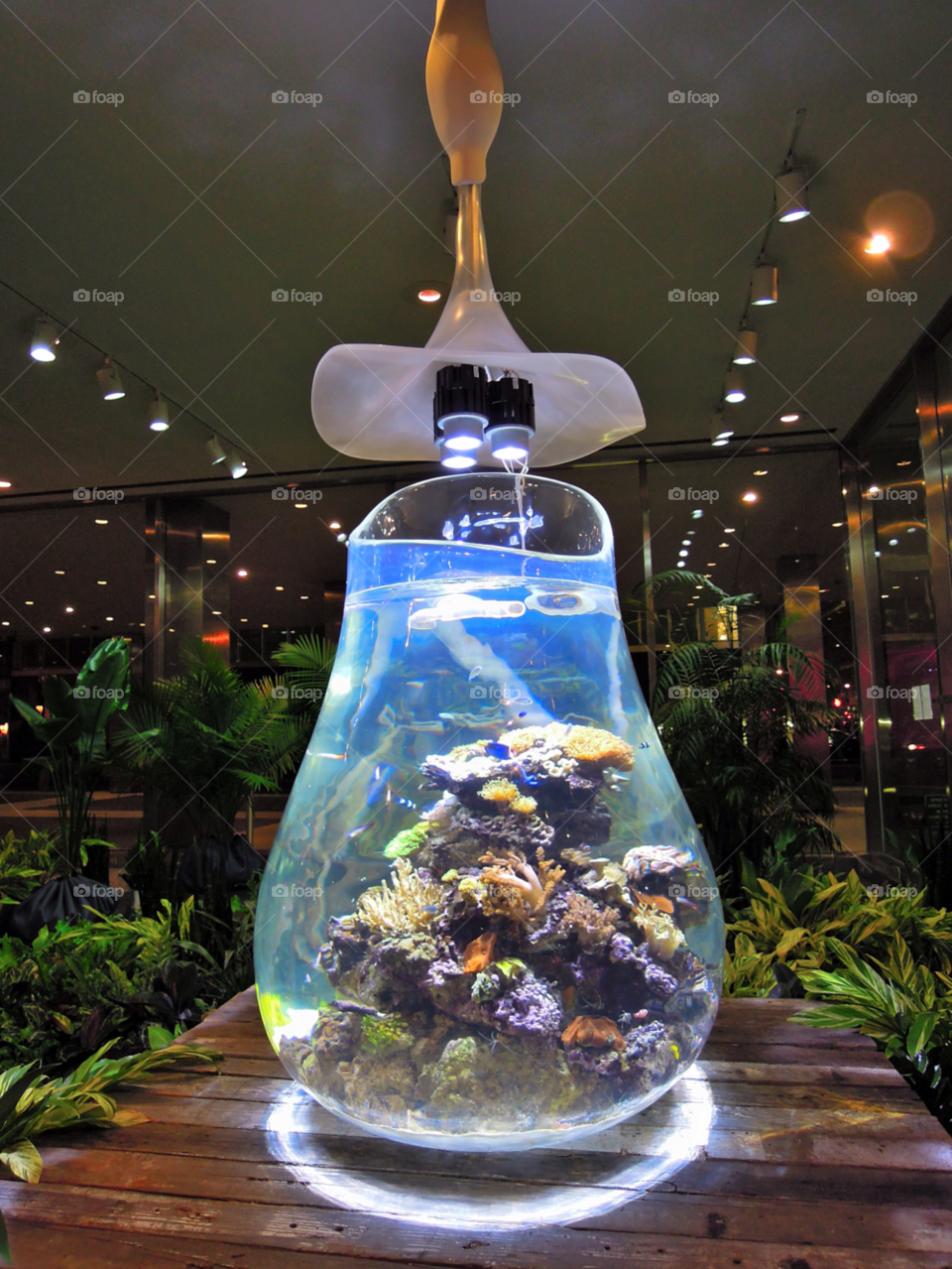 nyc fish art gallery by delvec