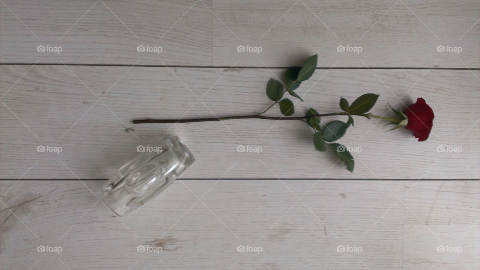 Fallen rose. Red Rose lying with vase on the floor