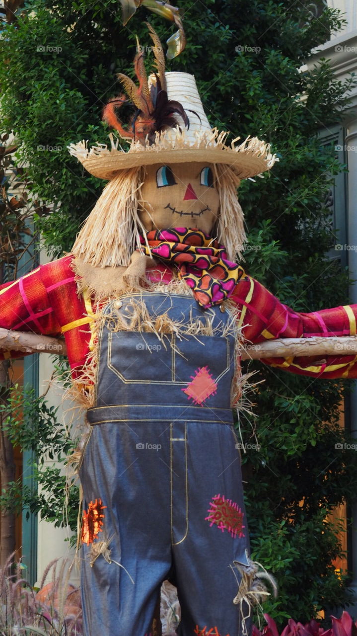 Halloween scarecrow full. Full scarecrow halloween themed figure
