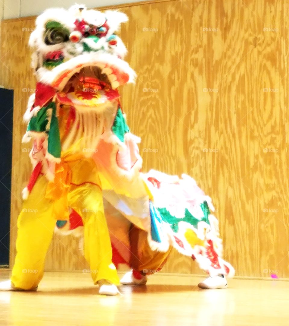 Asian Extravaganza Festival 2017 - Traditional 
Chinese Lion Dance 
wu shu kung fu - China