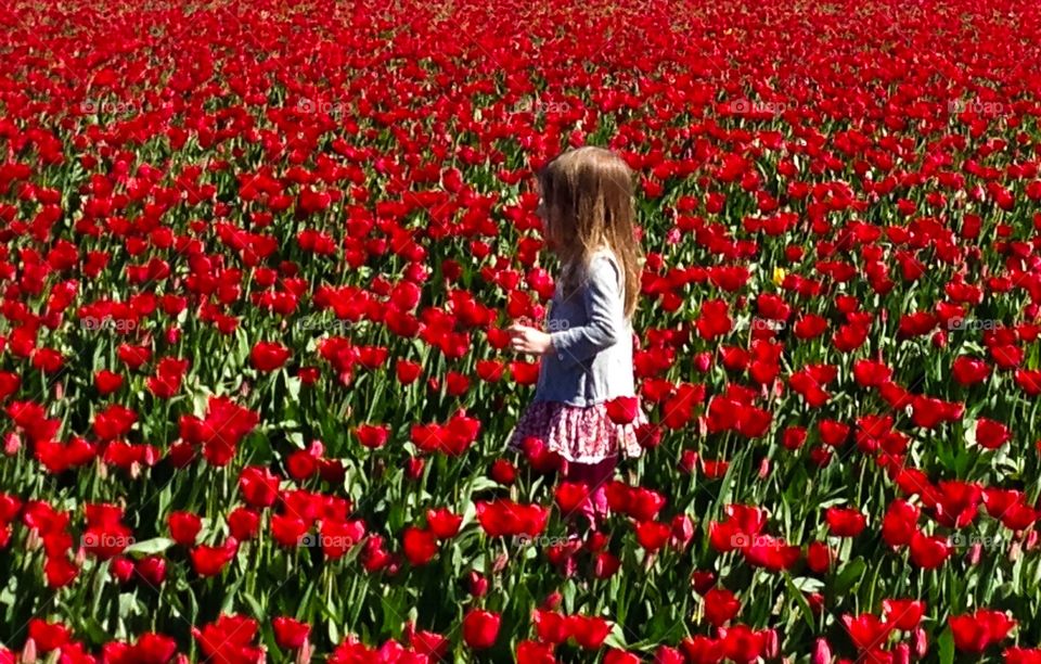 Girl in tulip field