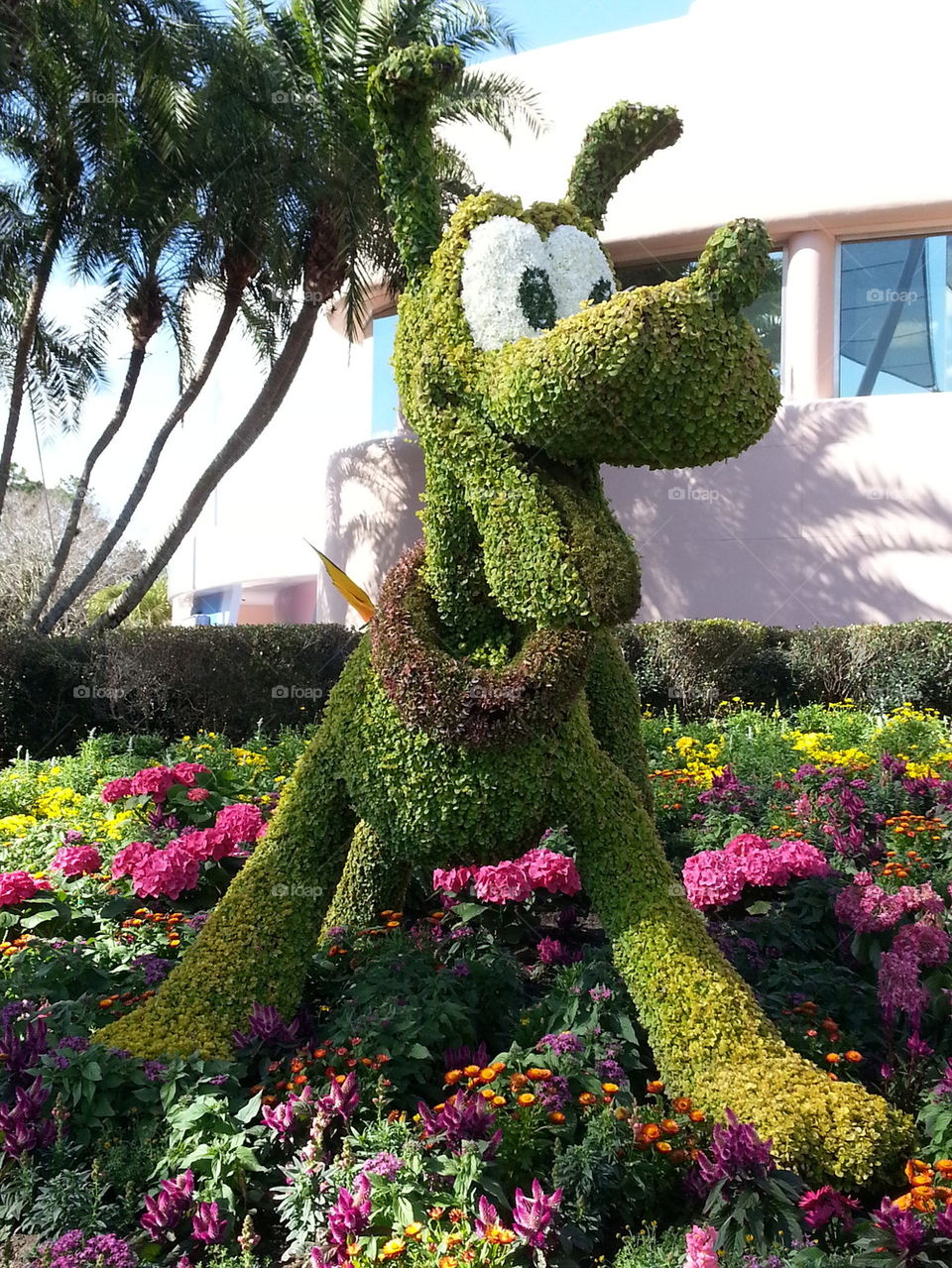 Pluto Topiary - Epcot Flower and Garden Festival - Orlando, Florida