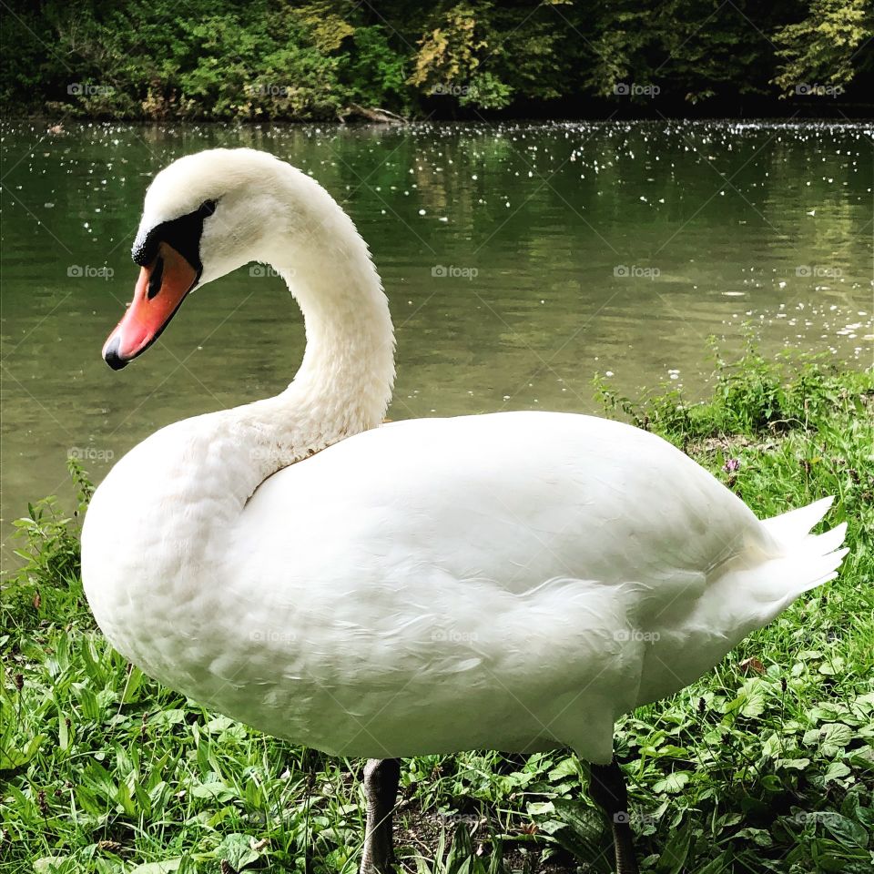 Englischer Garten Munich 