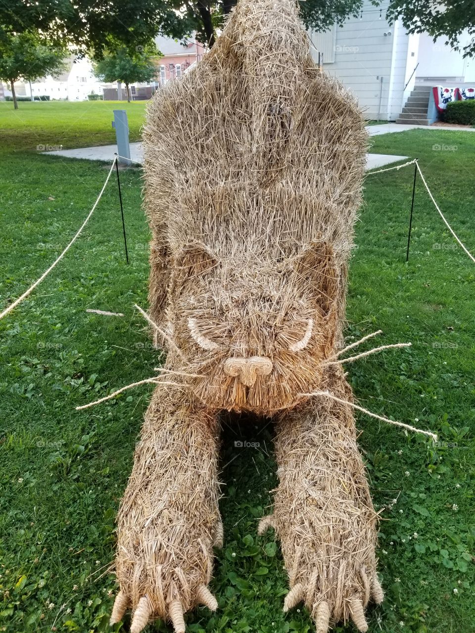 Straw cat with tail, claws, eyes nose whiskers
