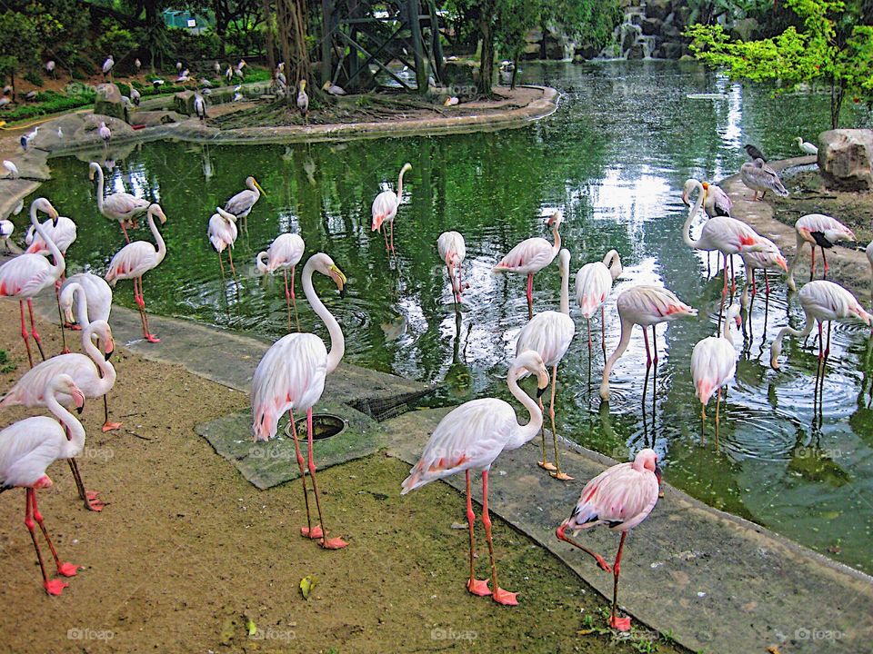 kuala lumpur birds park