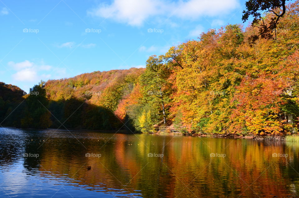 Autumn is here!