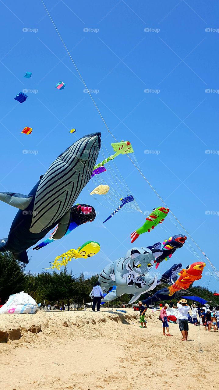 kite and blue sky