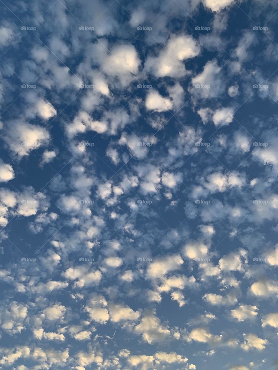 Special cloud - Luzhou