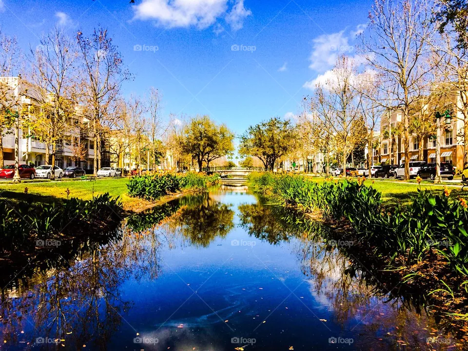 Pond