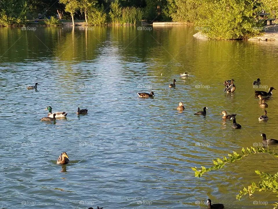 Floyd  Lamb Park. Las Vegas  NV