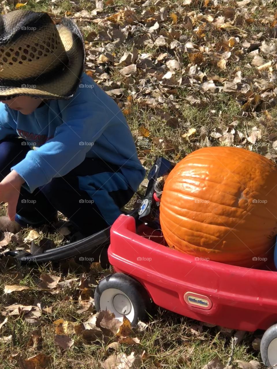 Cowboy plays on a fall day