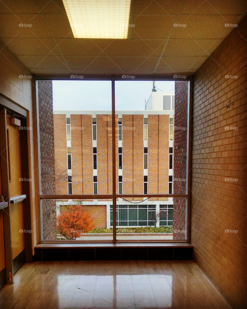 Window on Campus