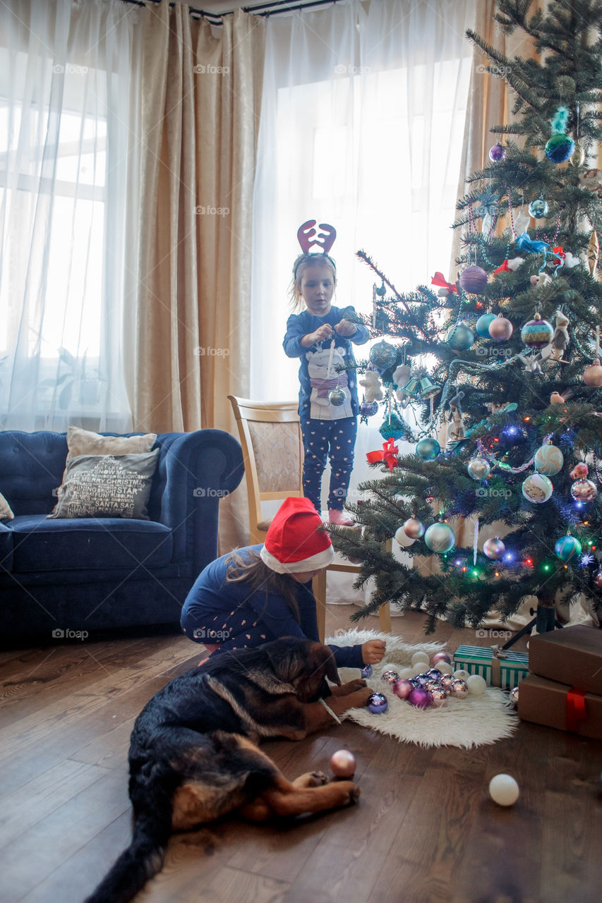 Little sisters with German shepherd puppy near Christmas tree 