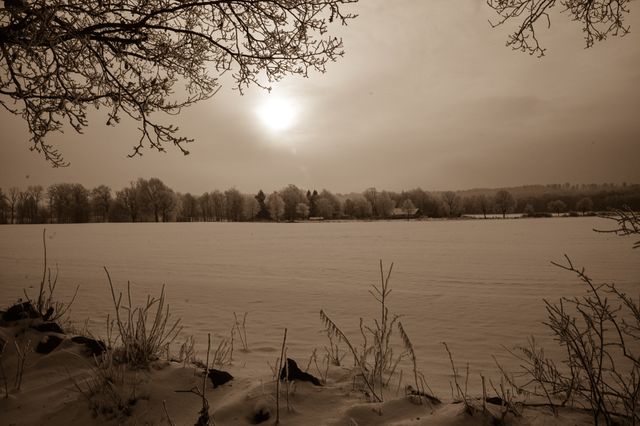 Winter