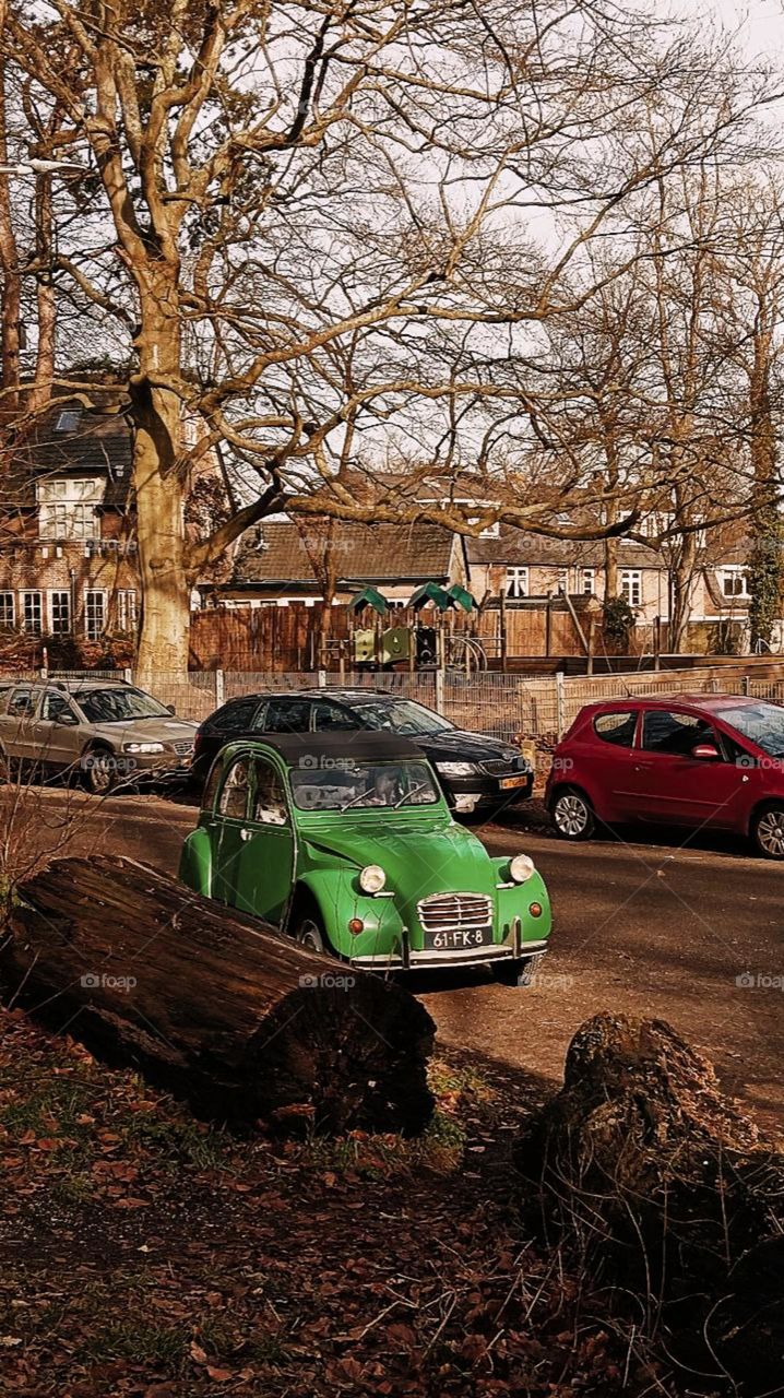 Cartoon green car in the middle of a residential area