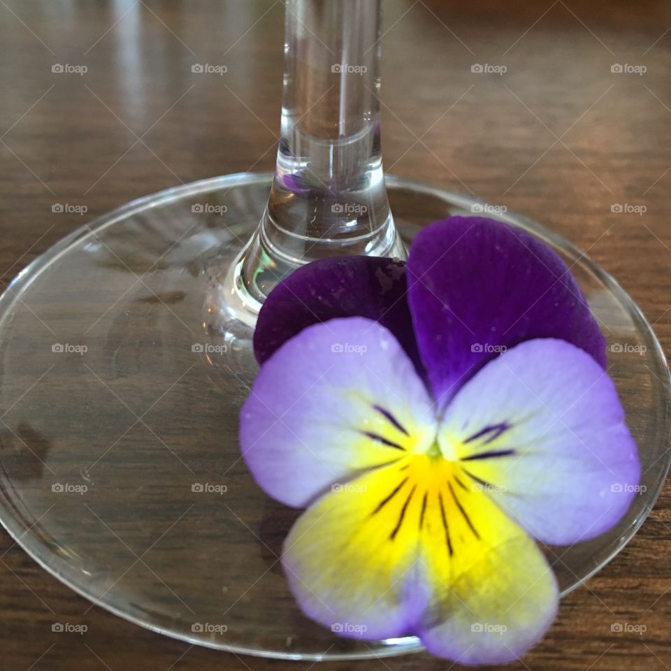Poppy flower on a glass