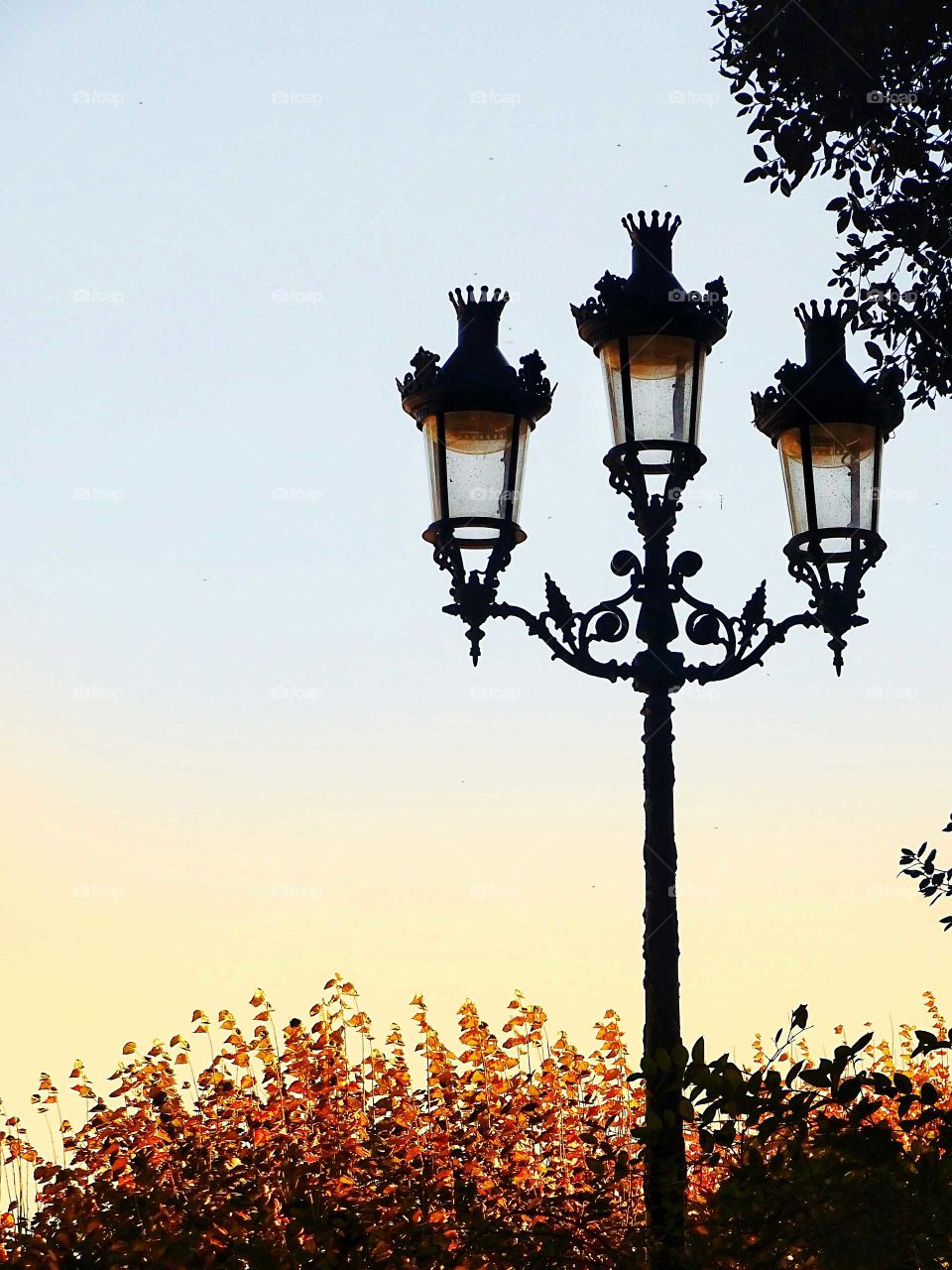 The street lamp in the garden