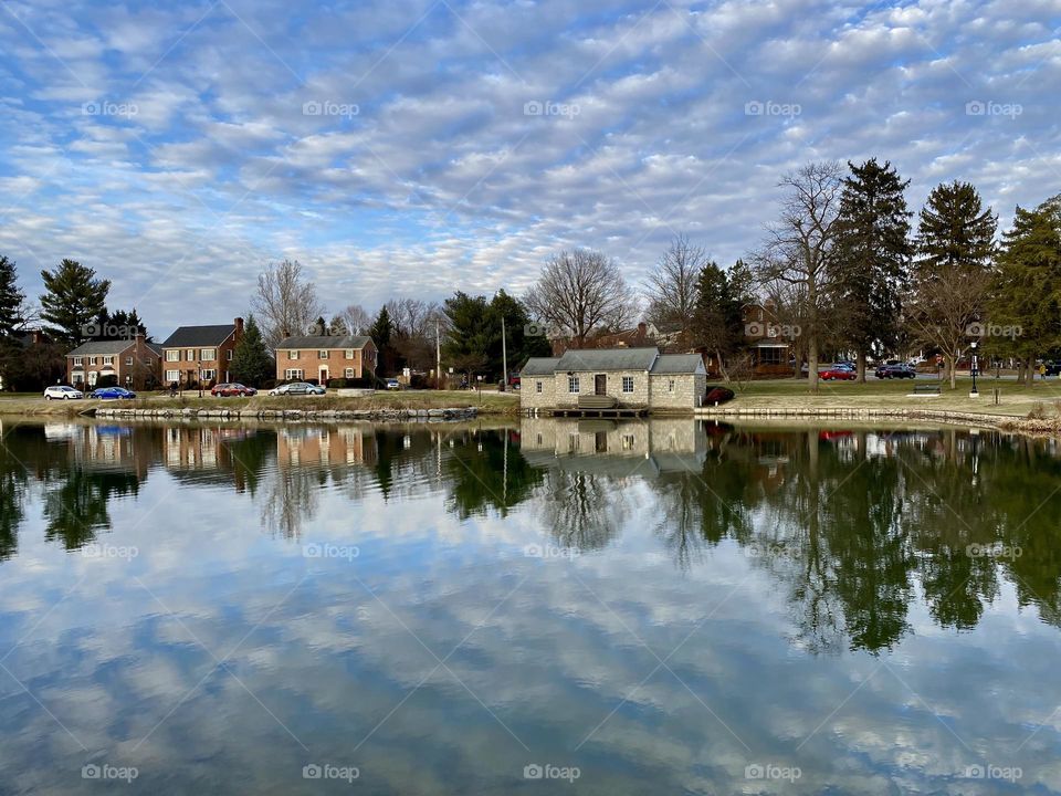 Reflections on a small lake in a local park