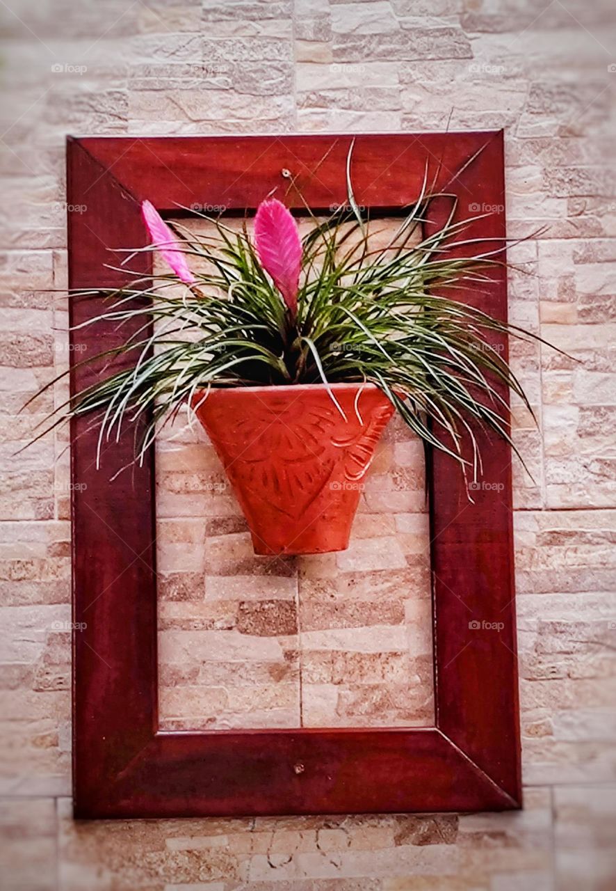 a beautiful wide frame made of hollow rectangular wood gives a special charm to the potted plant that was placed on the wall